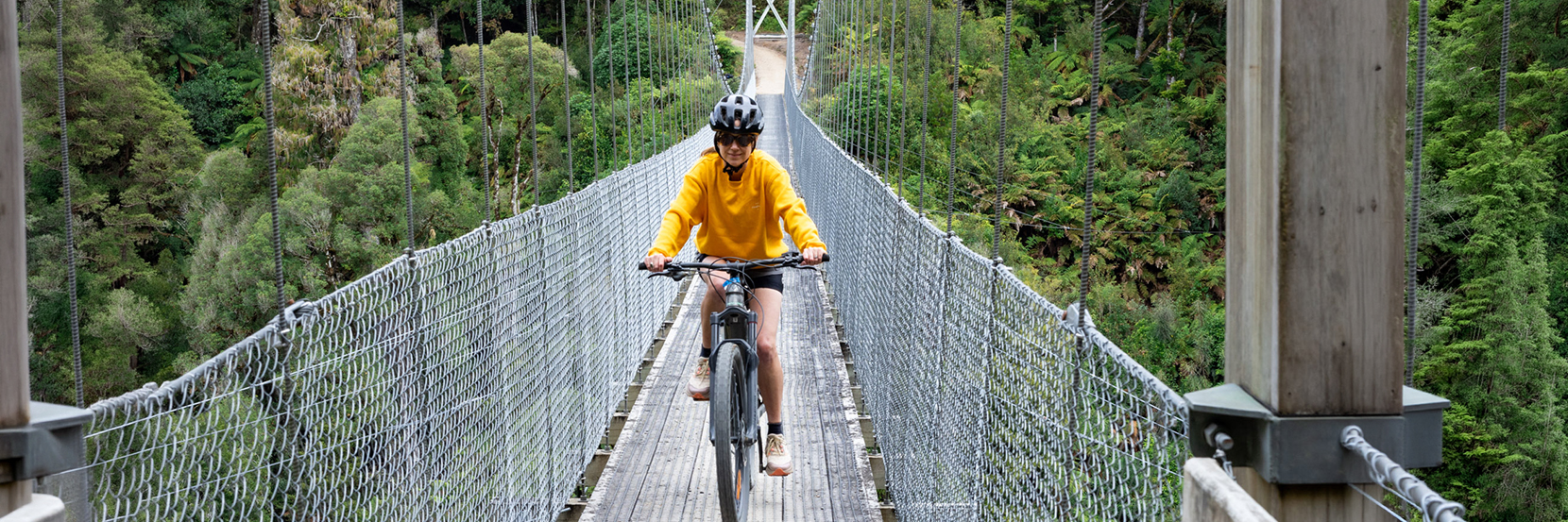 Cycling the Timber Trail