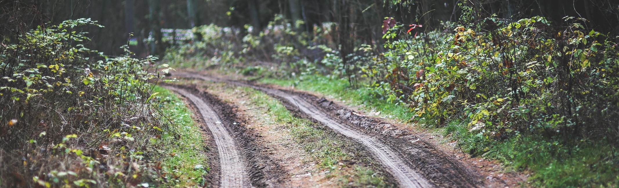 A beginner's guide to off-roading