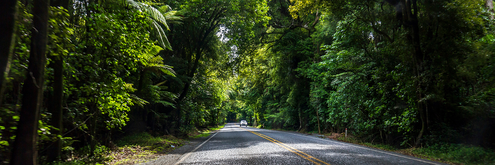 Summer road trip tips
