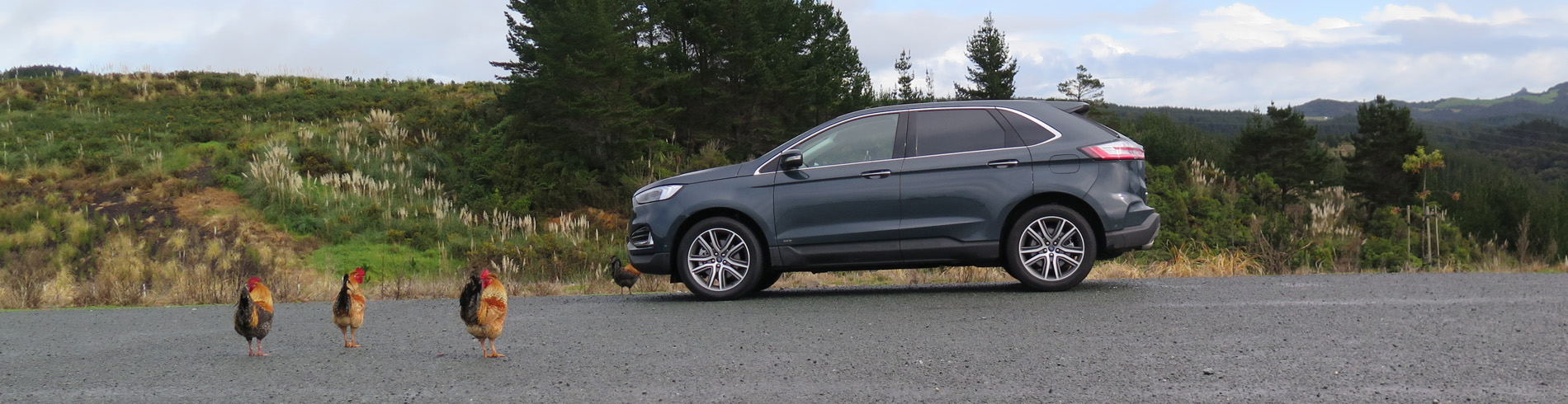 Ford Endura 2019 Car Review