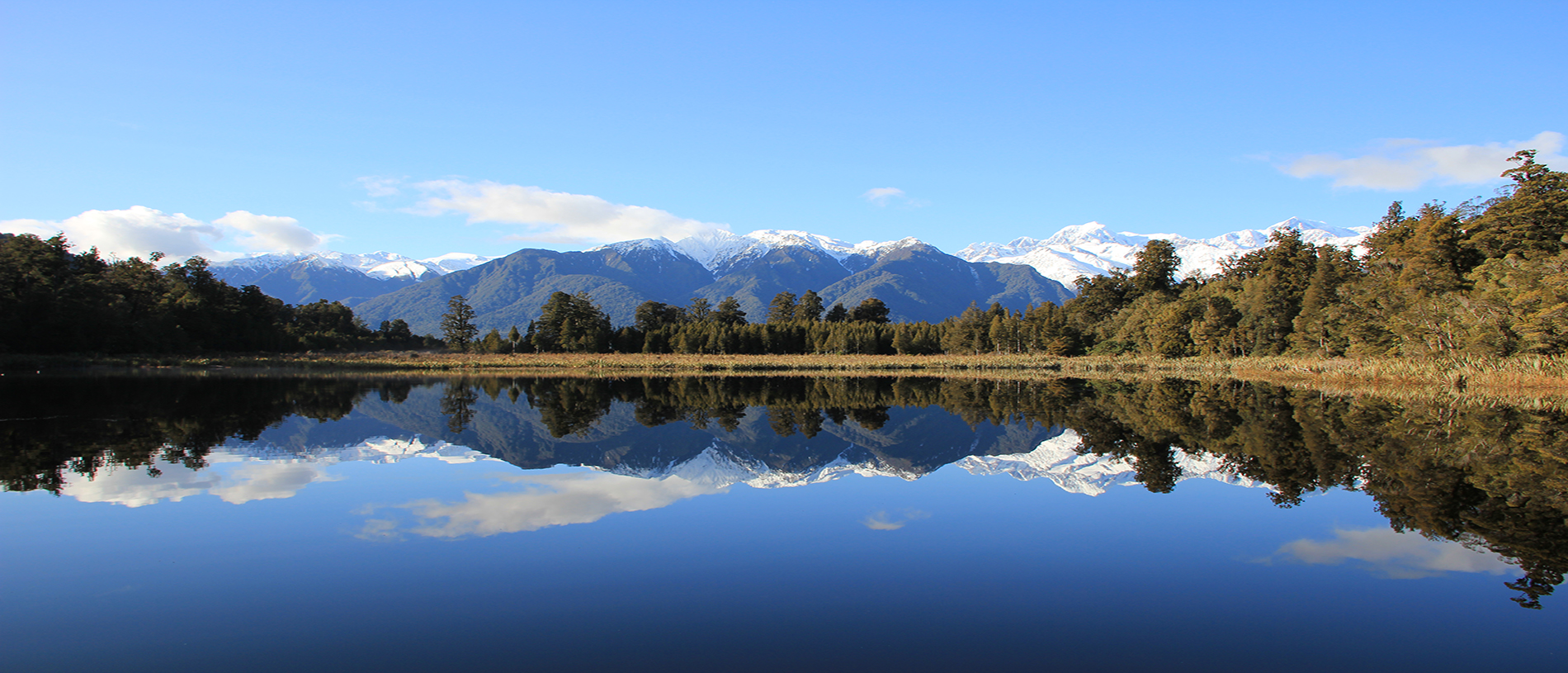 Lake Matheson Walks