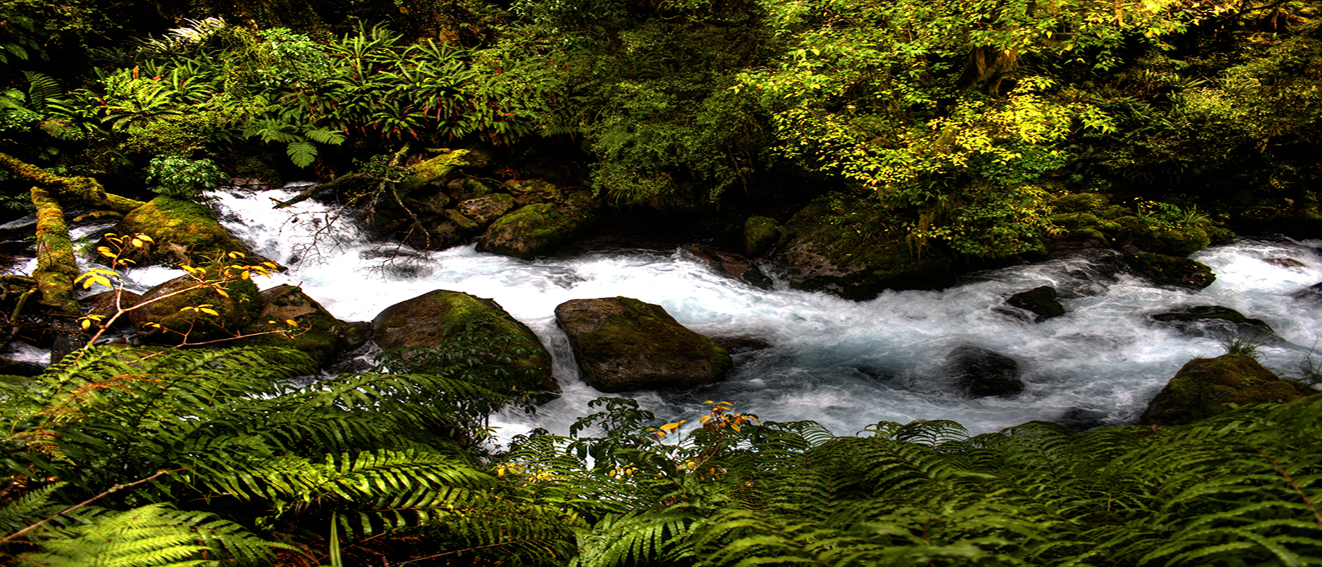Lake Marian Falls Track