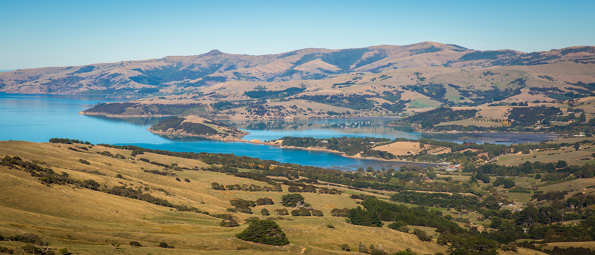 Banks Peninsula: land of volcanoes and mini dolphins