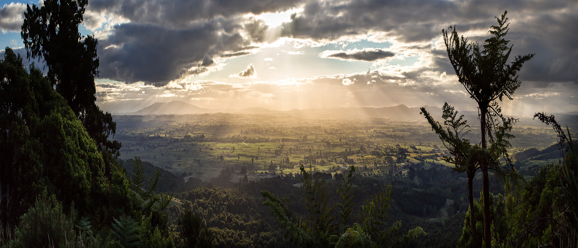 East Waikato: discovering Middle Earth