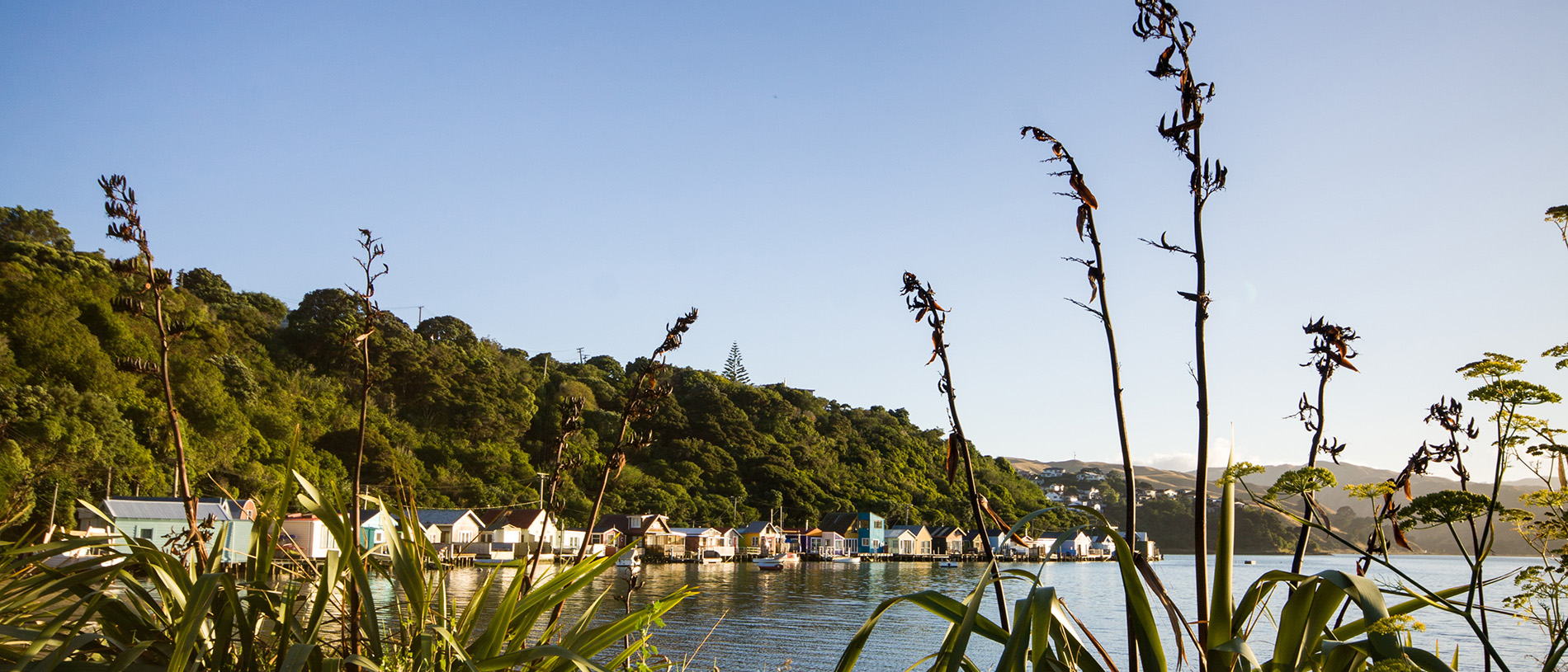 Loved by the locals: Porirua