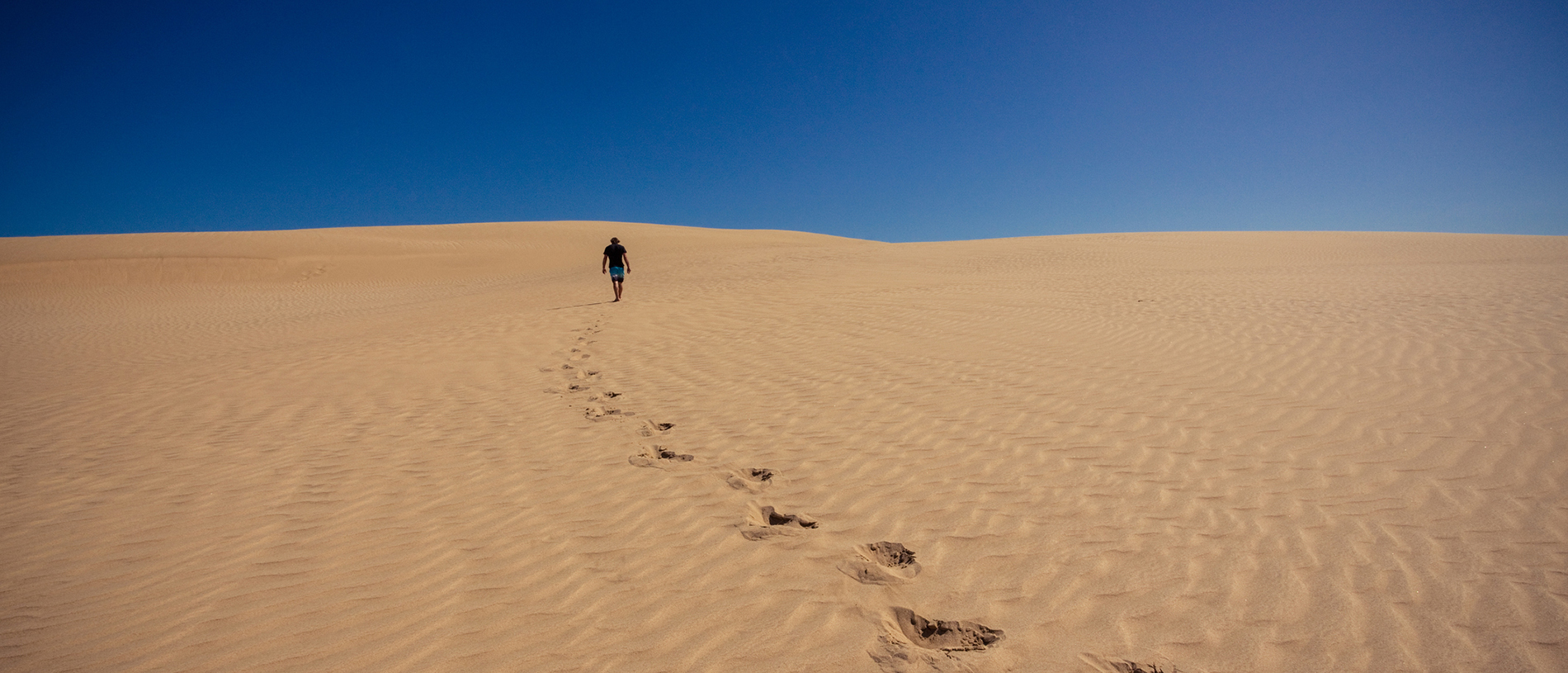 Hokianga: a road trip around a heavenly harbour