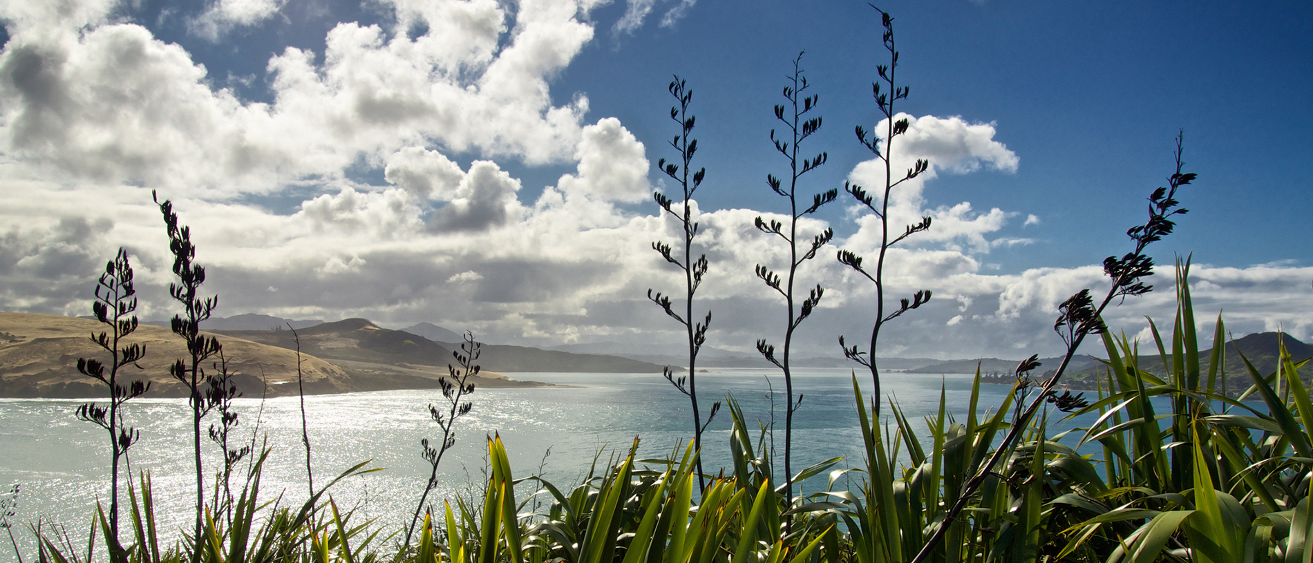Hokianga: harbouring history