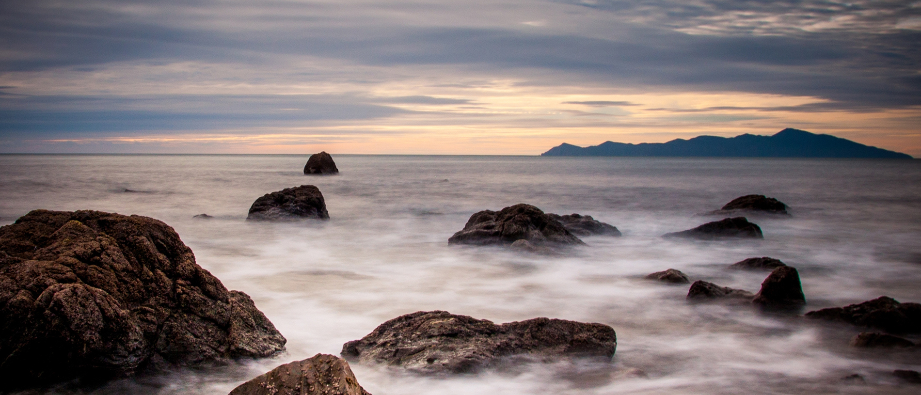 Kāpiti Island: birds of paradise