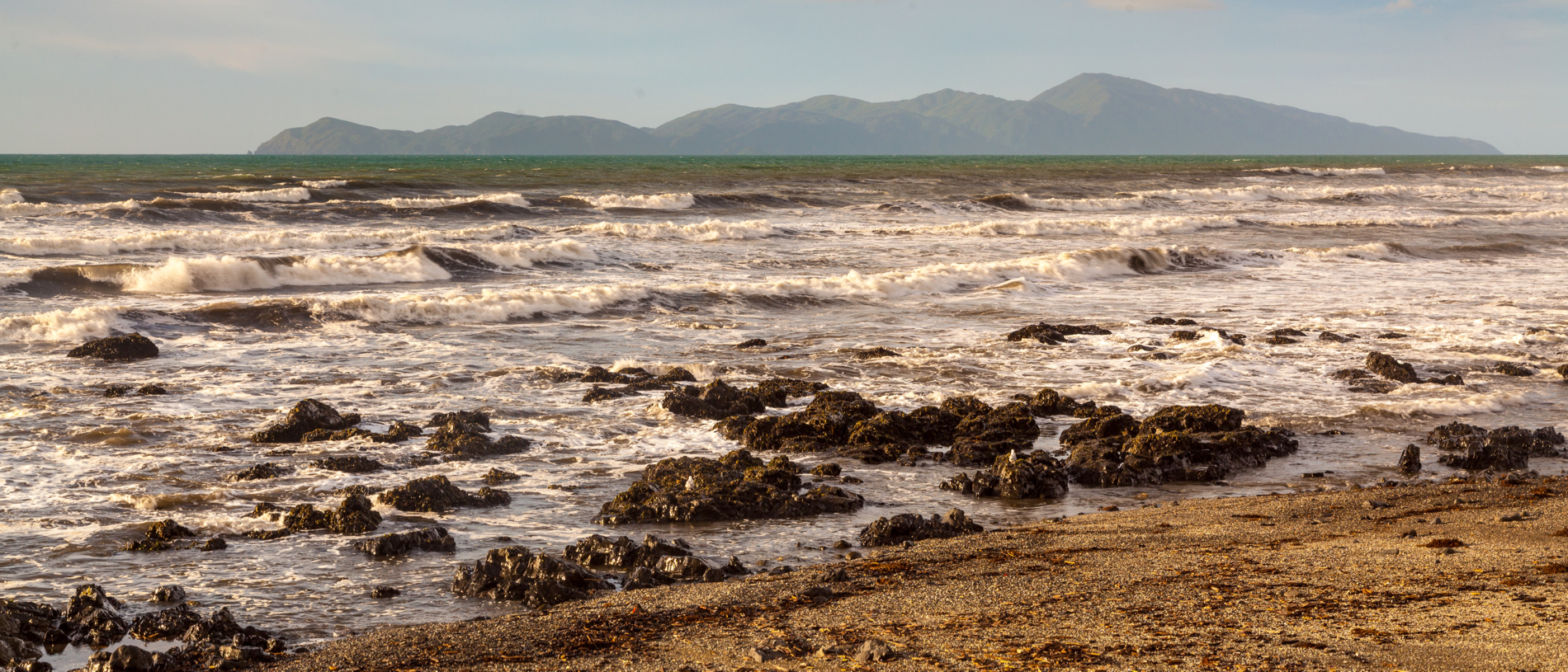 Kāpiti Marine Reserve