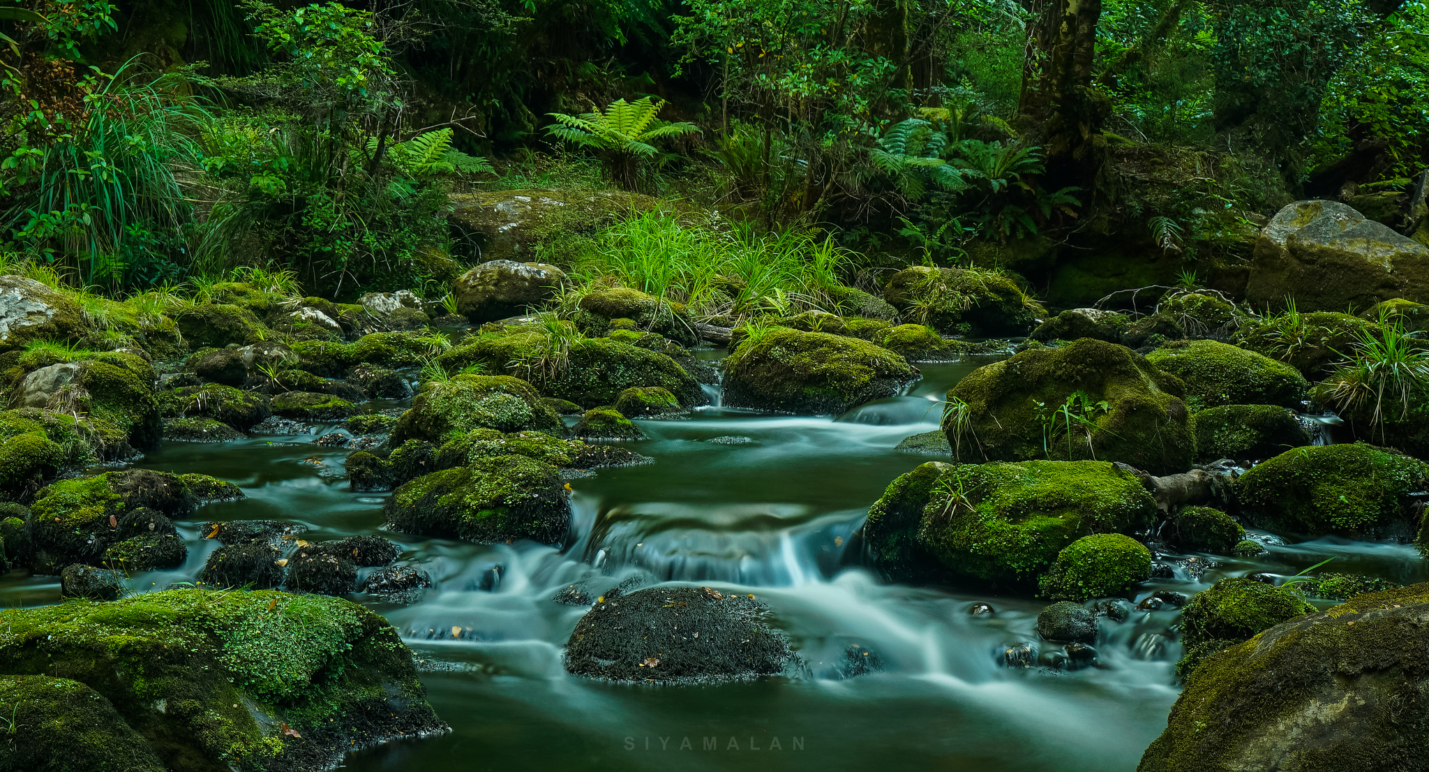 Lake Waikaremoana: hidden gem