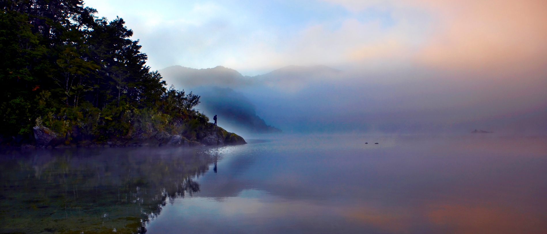 Lake Waikaremoana Track: around the rippling waters