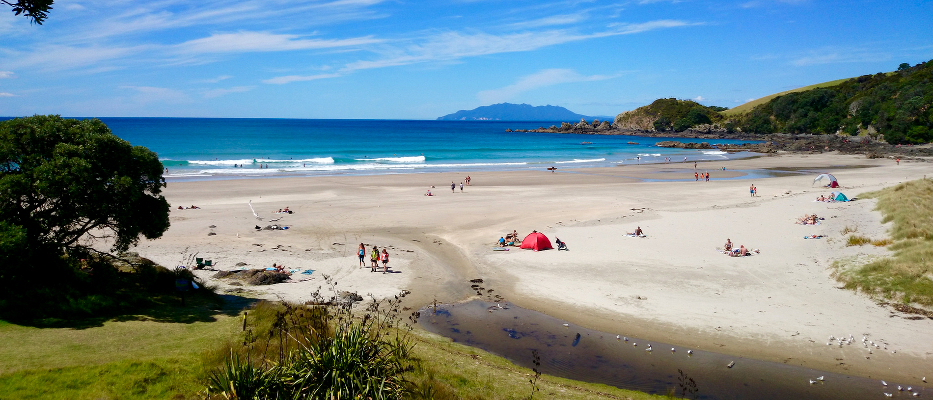 Matakana coast and country: weekend wonderland