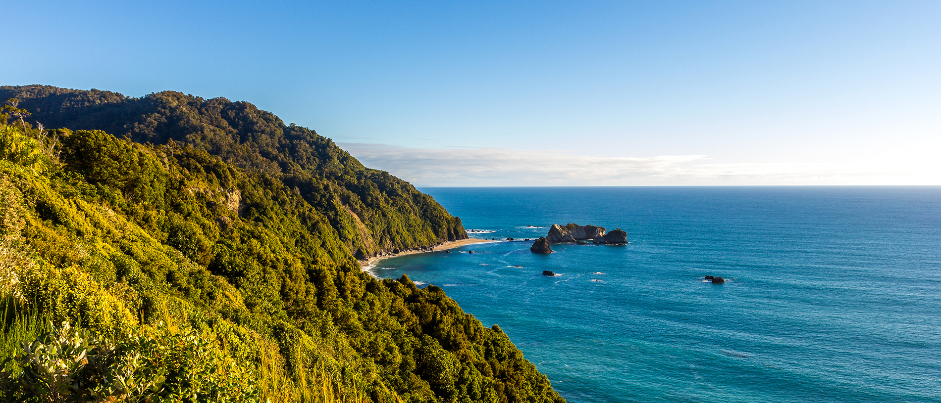 Central West Coast: the best coastal drive in New Zealand