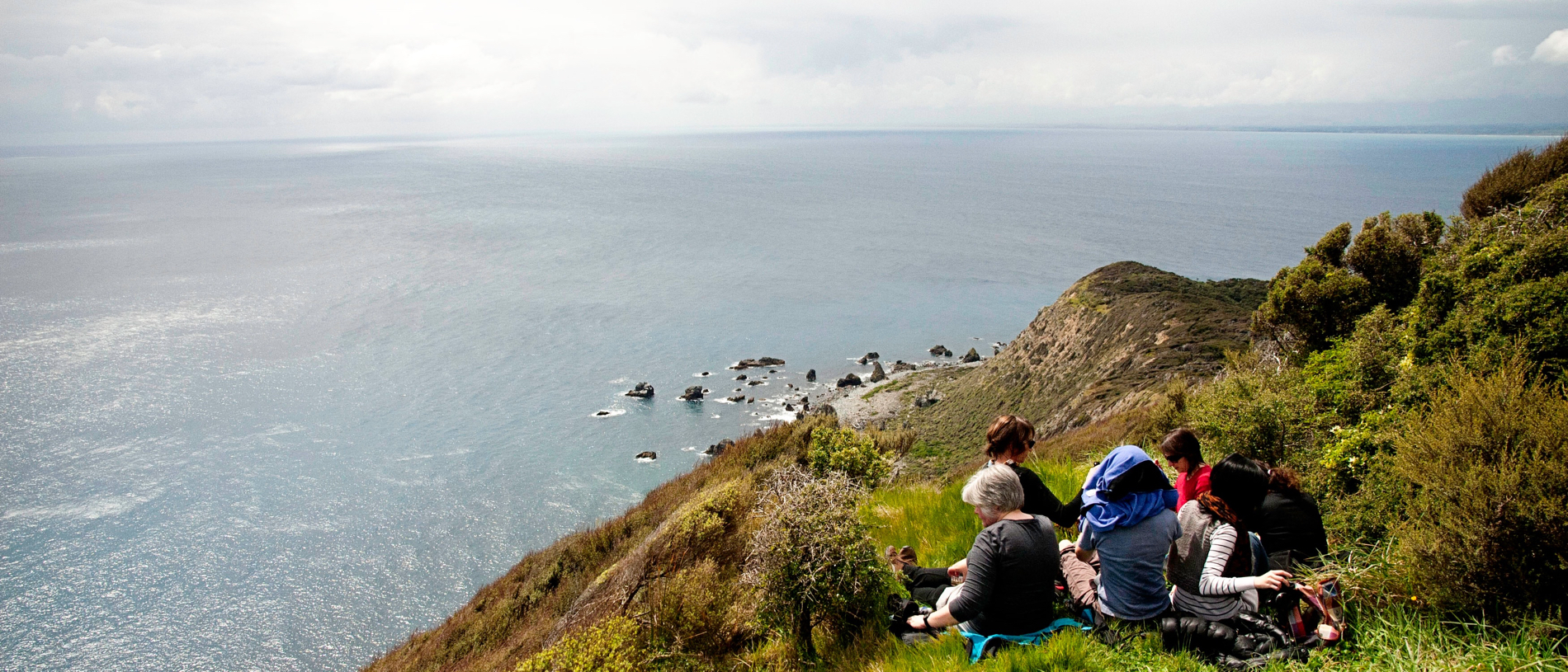 Get up close with the native avian wonders of Kāpiti Island