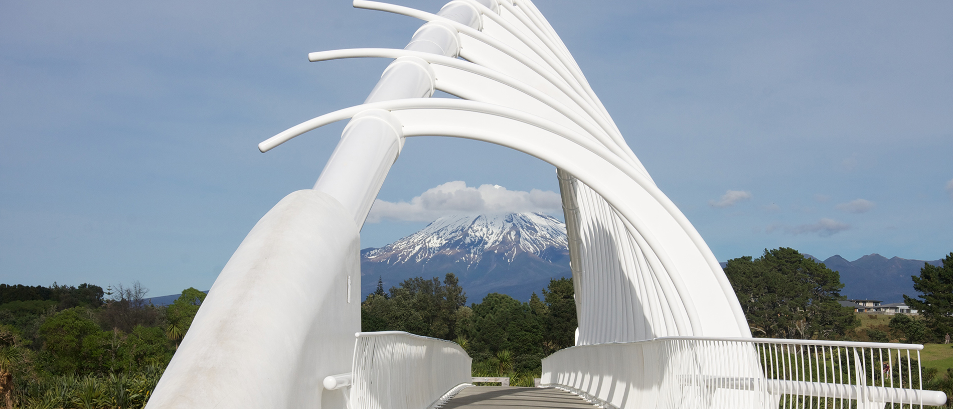 New Plymouth: welcome to Taradise