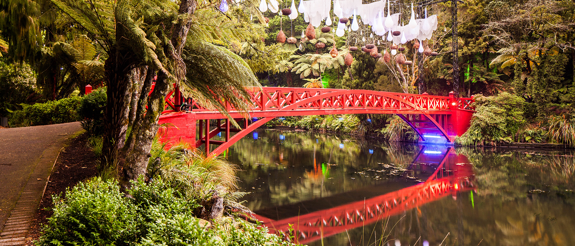 Taranaki's gardens: a sight to make the heart sing