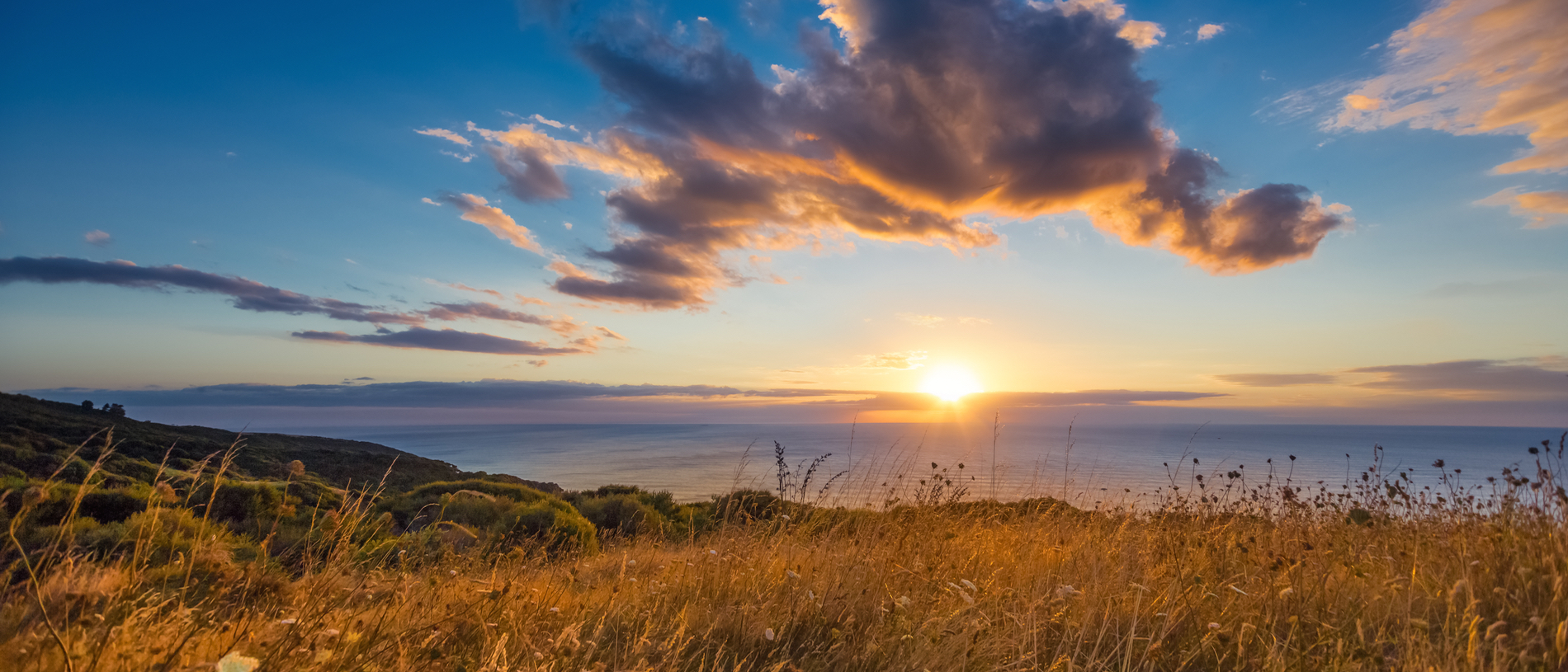 Northwest Waikato: surfing the endless wave