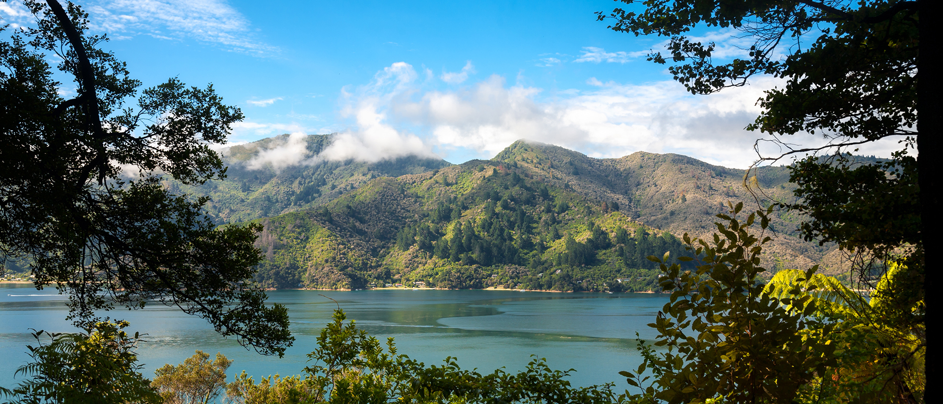 The Queen Charlotte Track