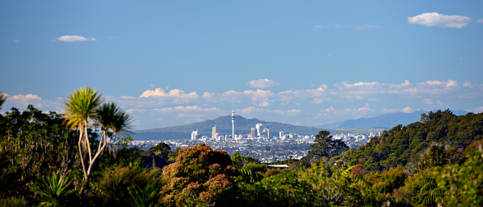 Loved by the locals: West Auckland