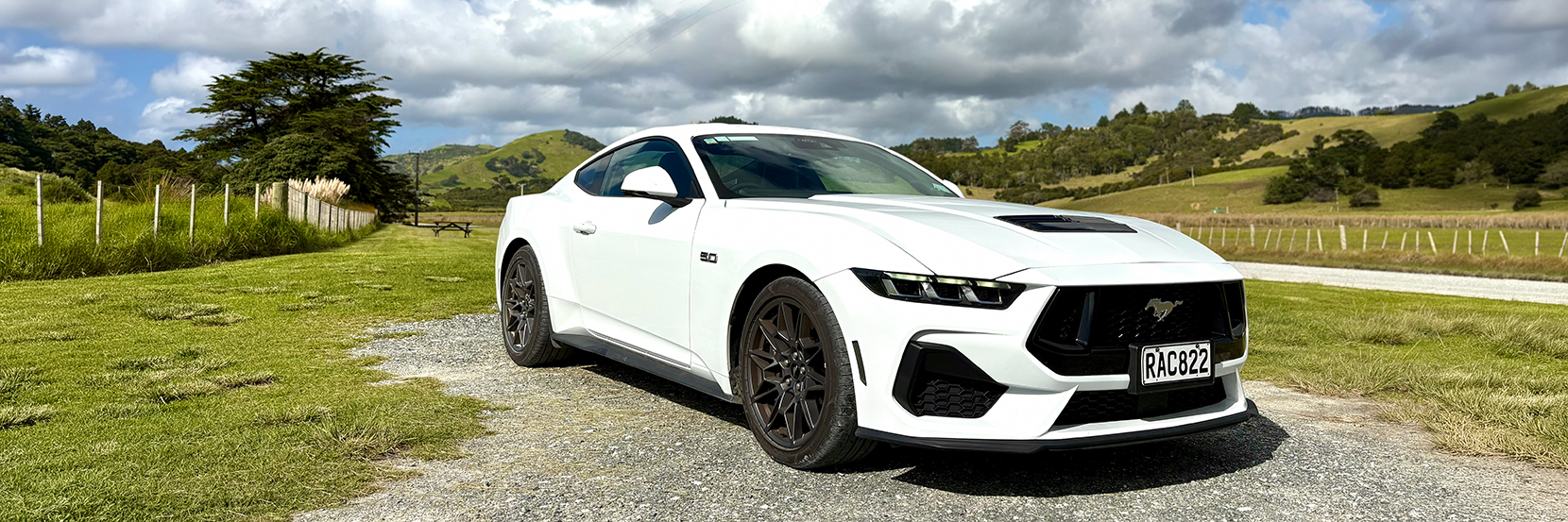 Matakana in a Mustang
