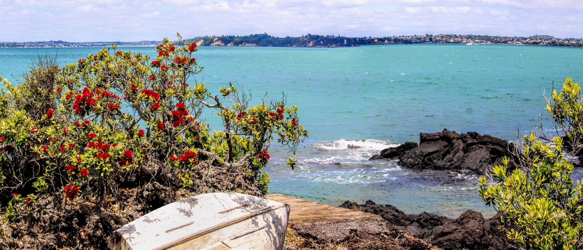 Rangitoto Island walks under one hour