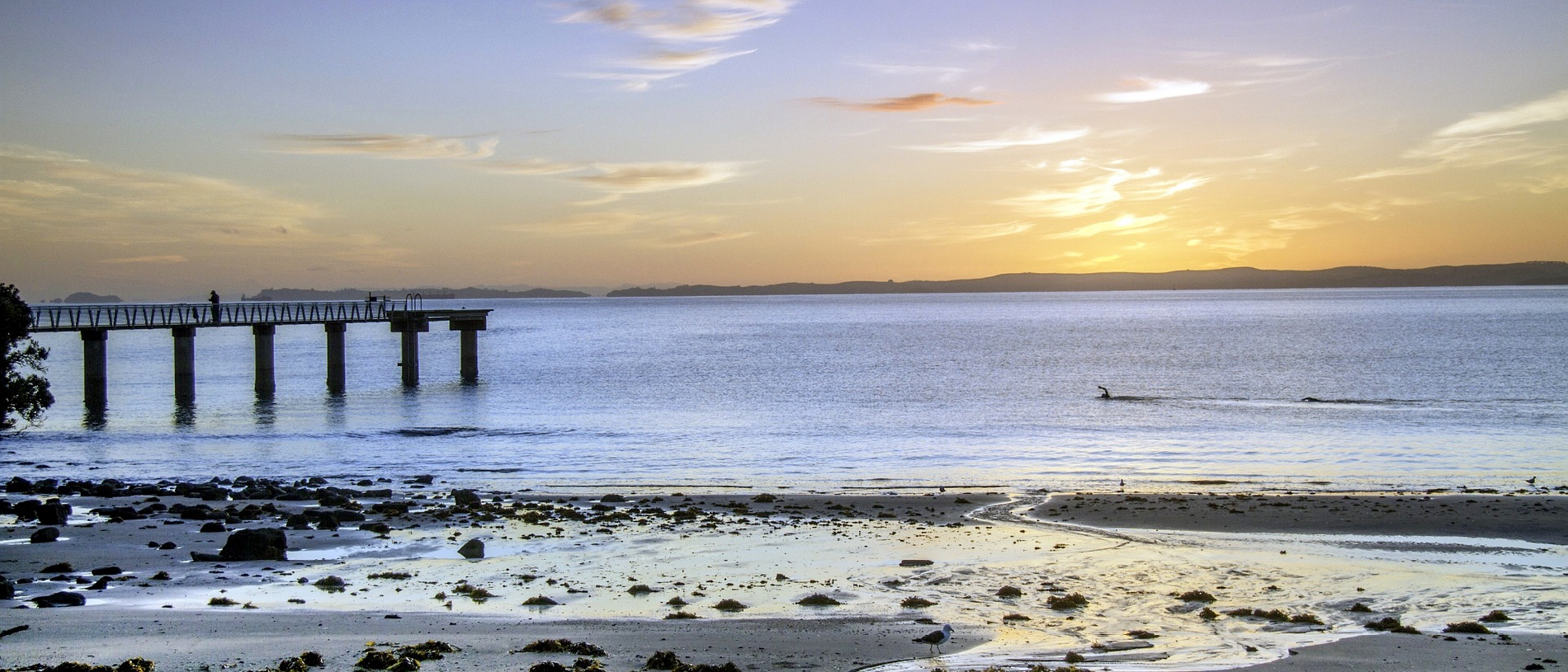 Auckland's North Shore: the ‘other side’