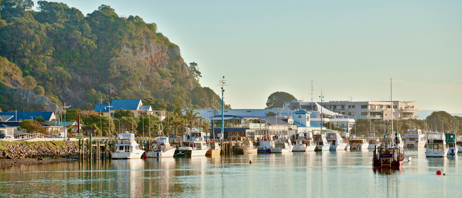 Four picks for a weekend in Whakatāne
