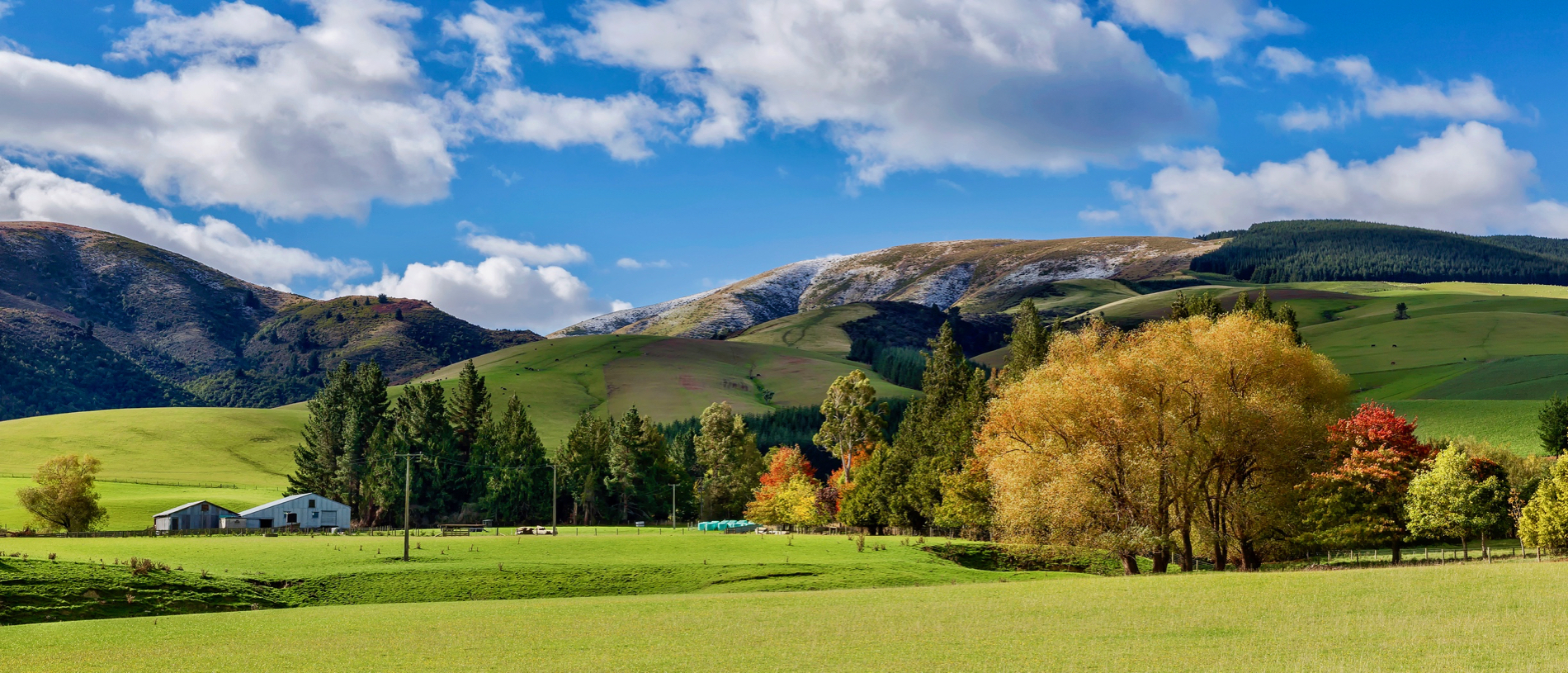 Geraldine: tasty town