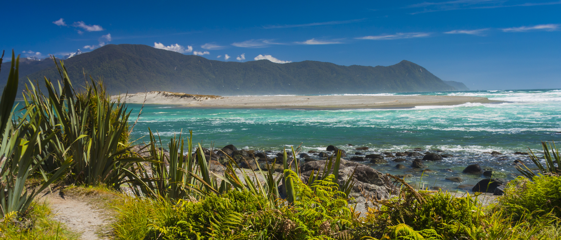 Hollyford Valley: not your average walk