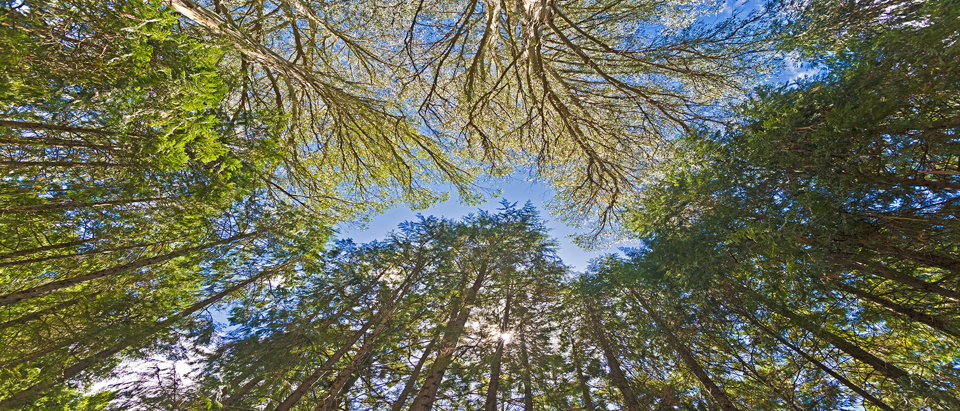 Loved by the locals: Eastland