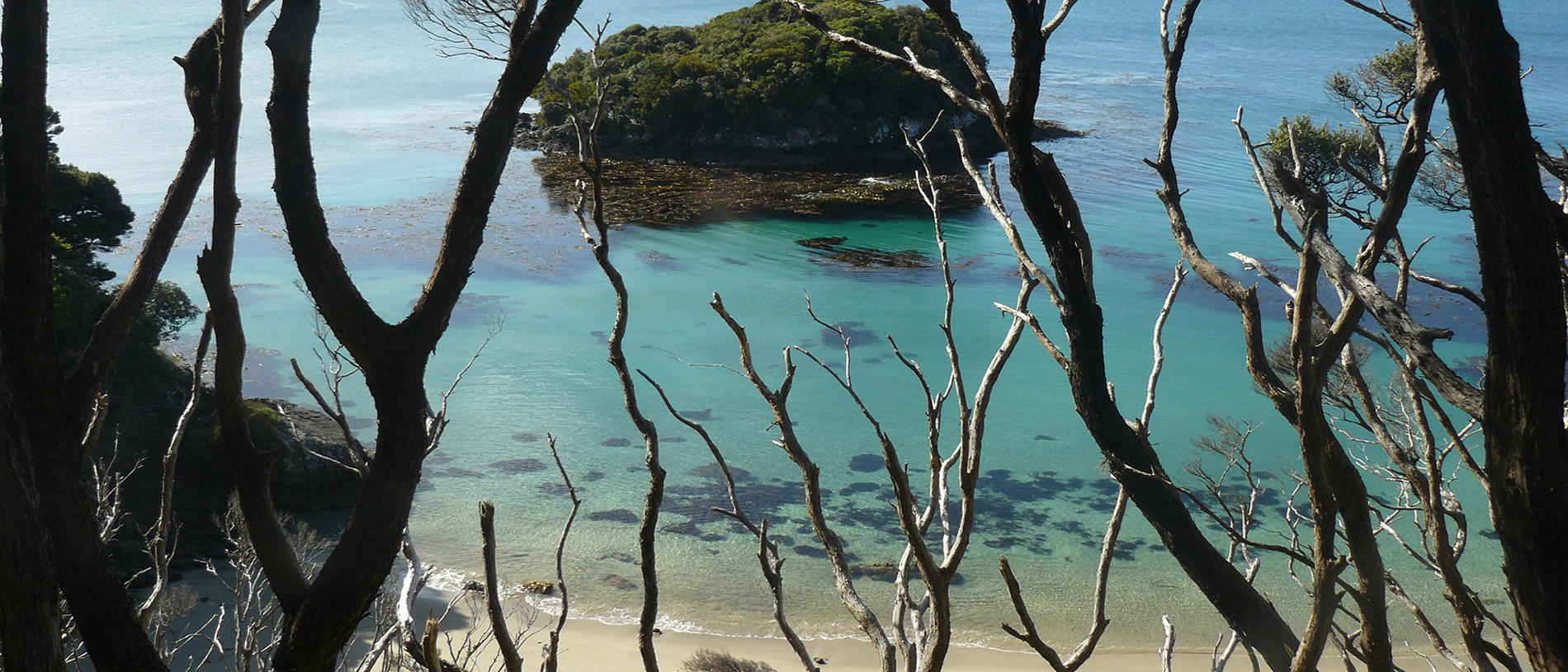 Loved by the locals: Stewart Island Rakiura