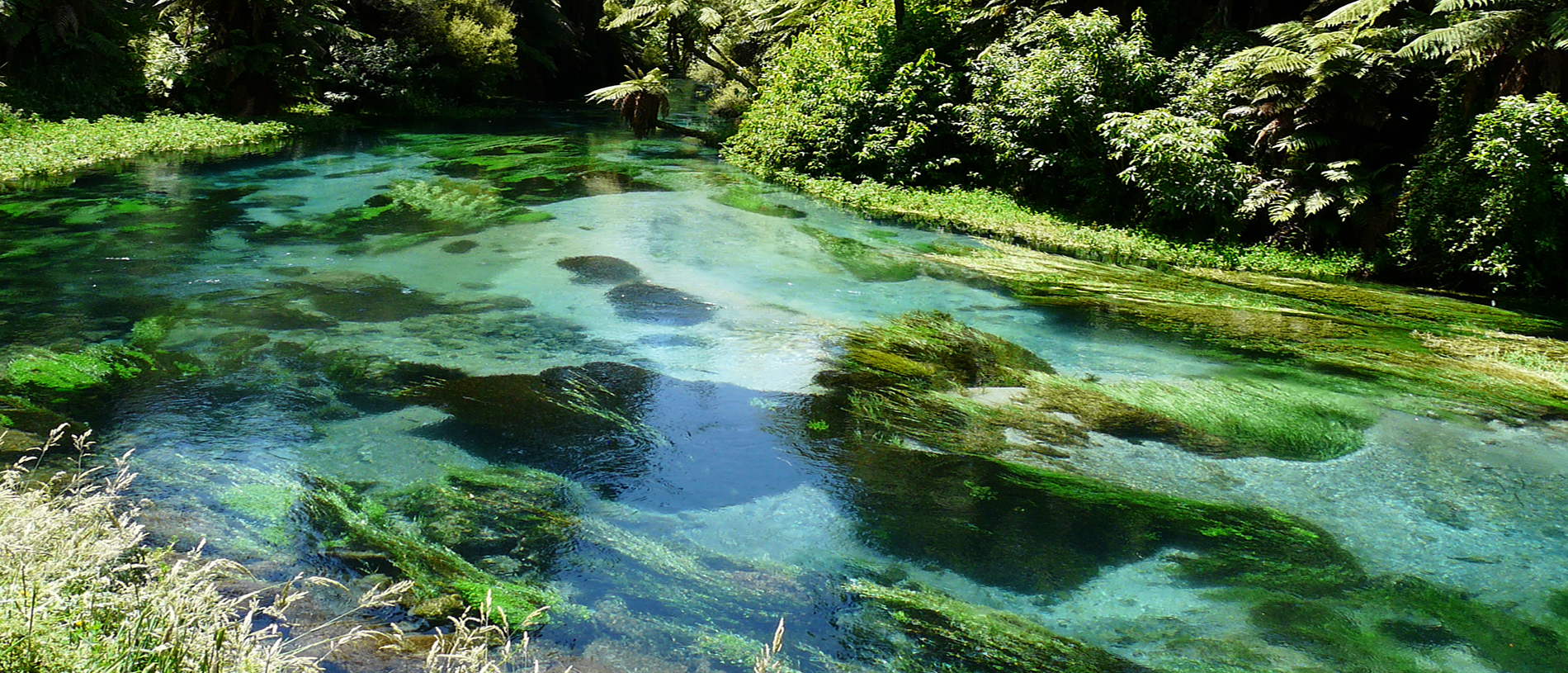 Loved by the locals: South Waikato