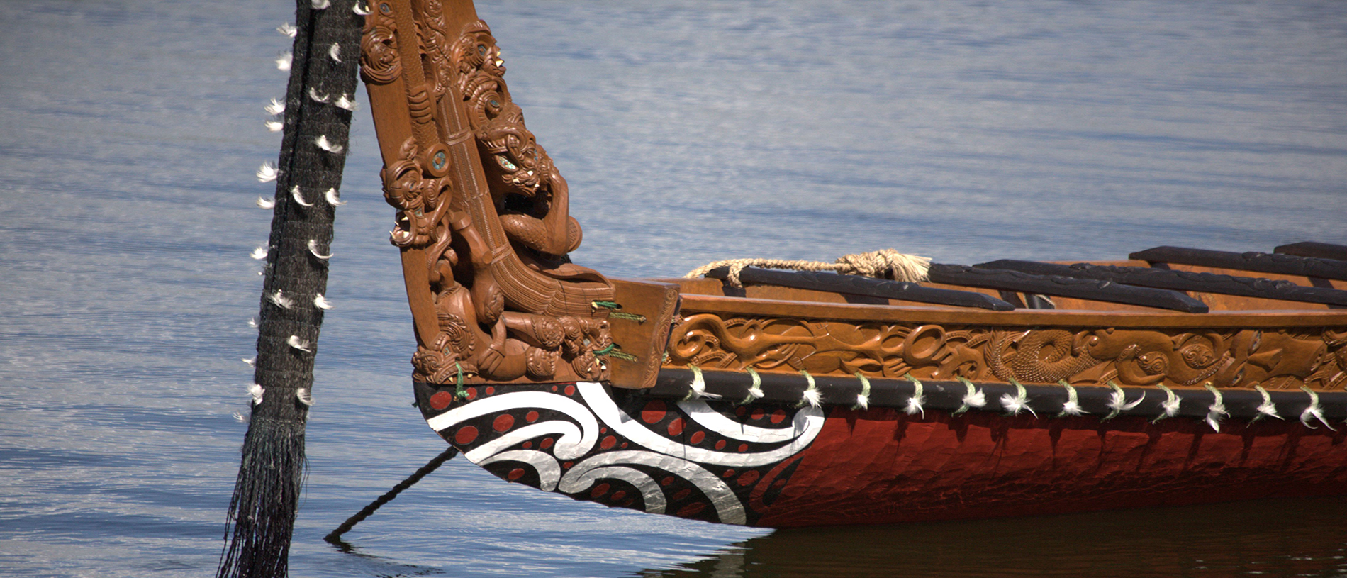 Loved by the locals: Waipā