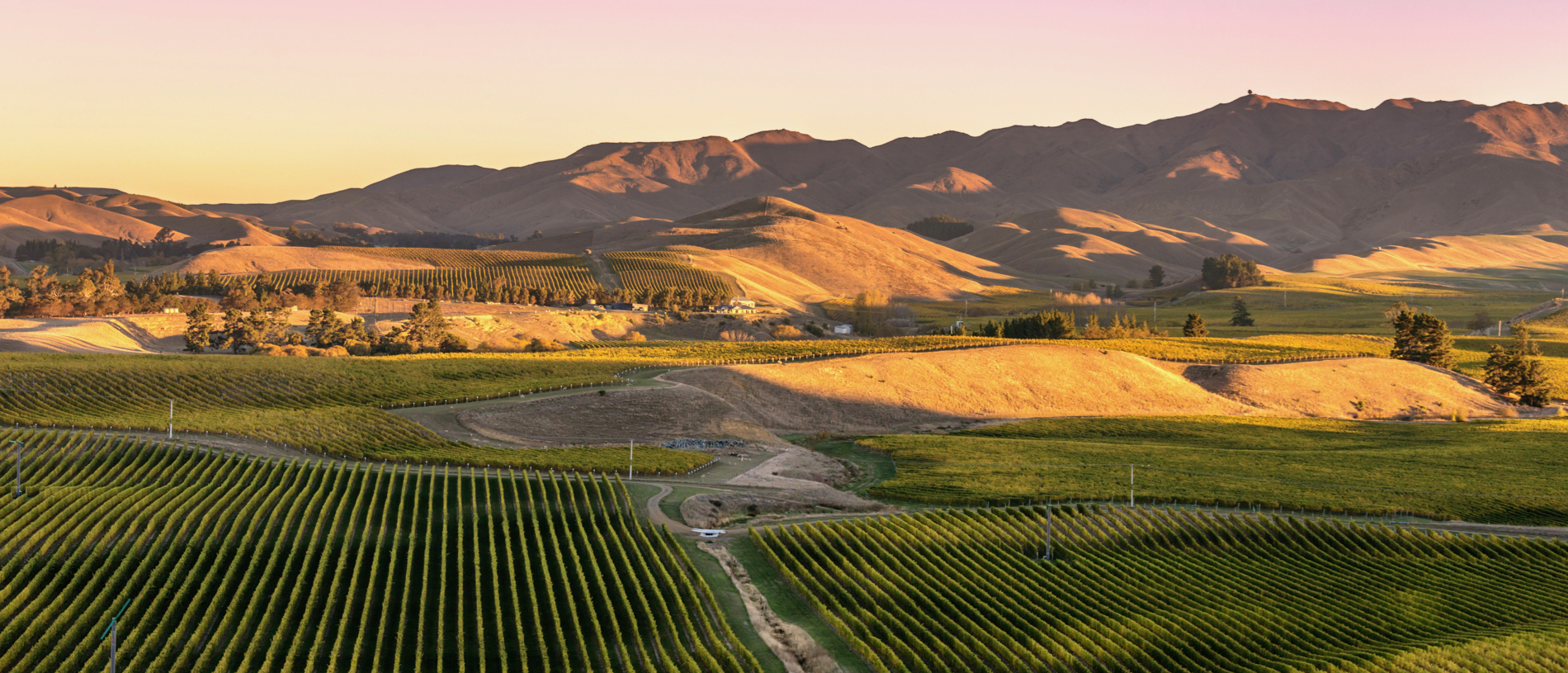Get outdoors: five vineyards to visit by bike in Blenheim