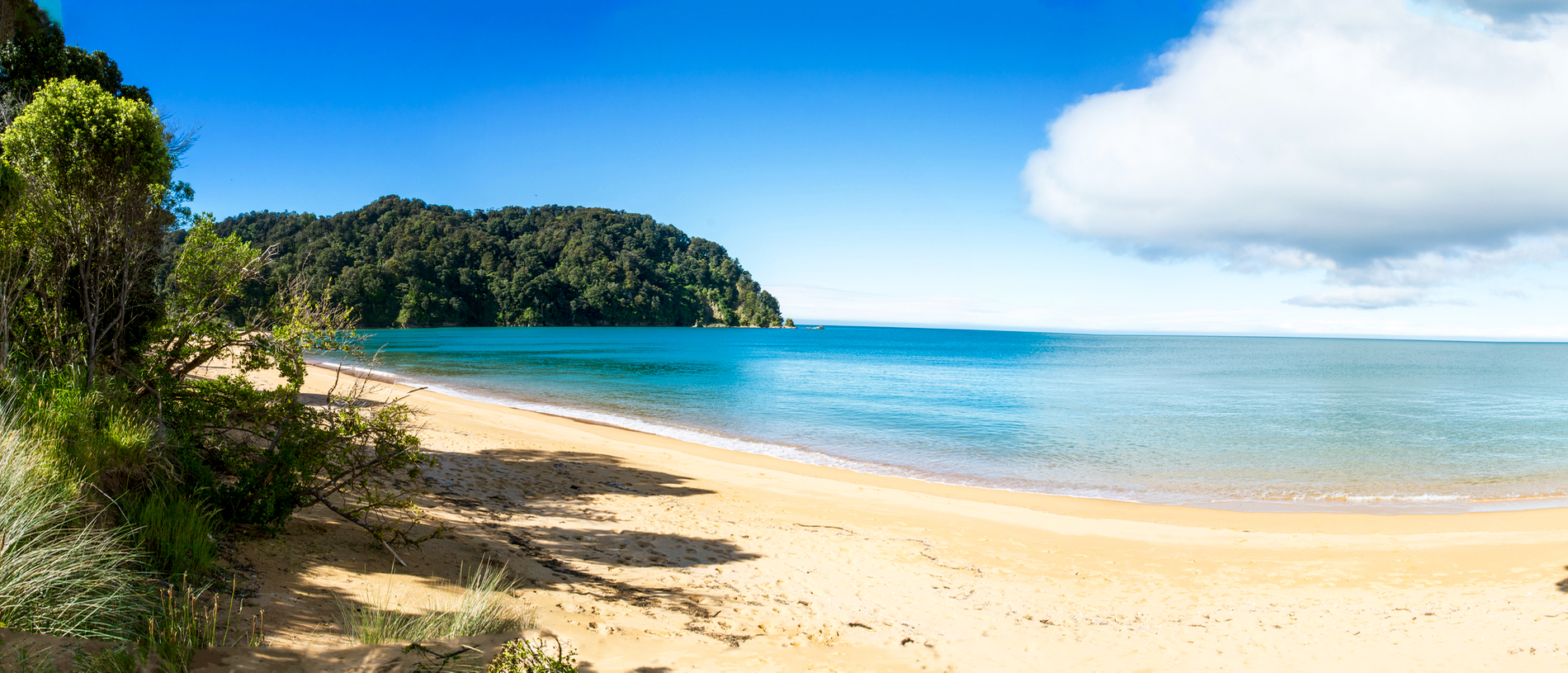 Loved by the locals: Golden Bay