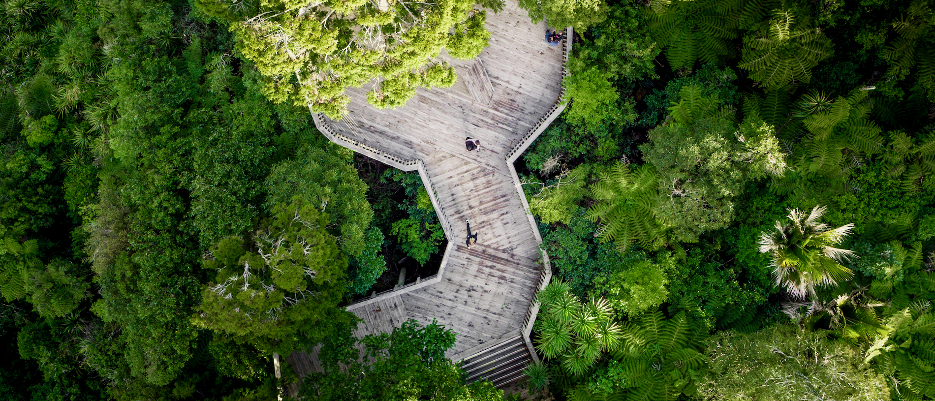Get outdoors: 5 natural attractions to explore between West Auckland and the Kauri Coast
