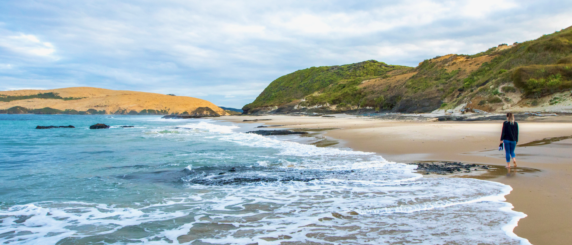 Northland road trip: birds, bikes and bush