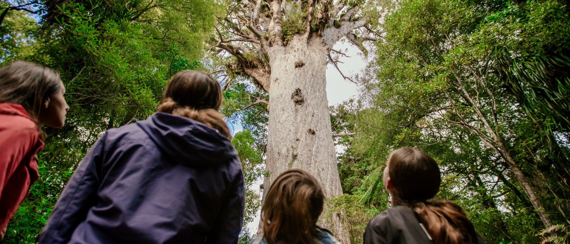 Five great days out with kids in Northland