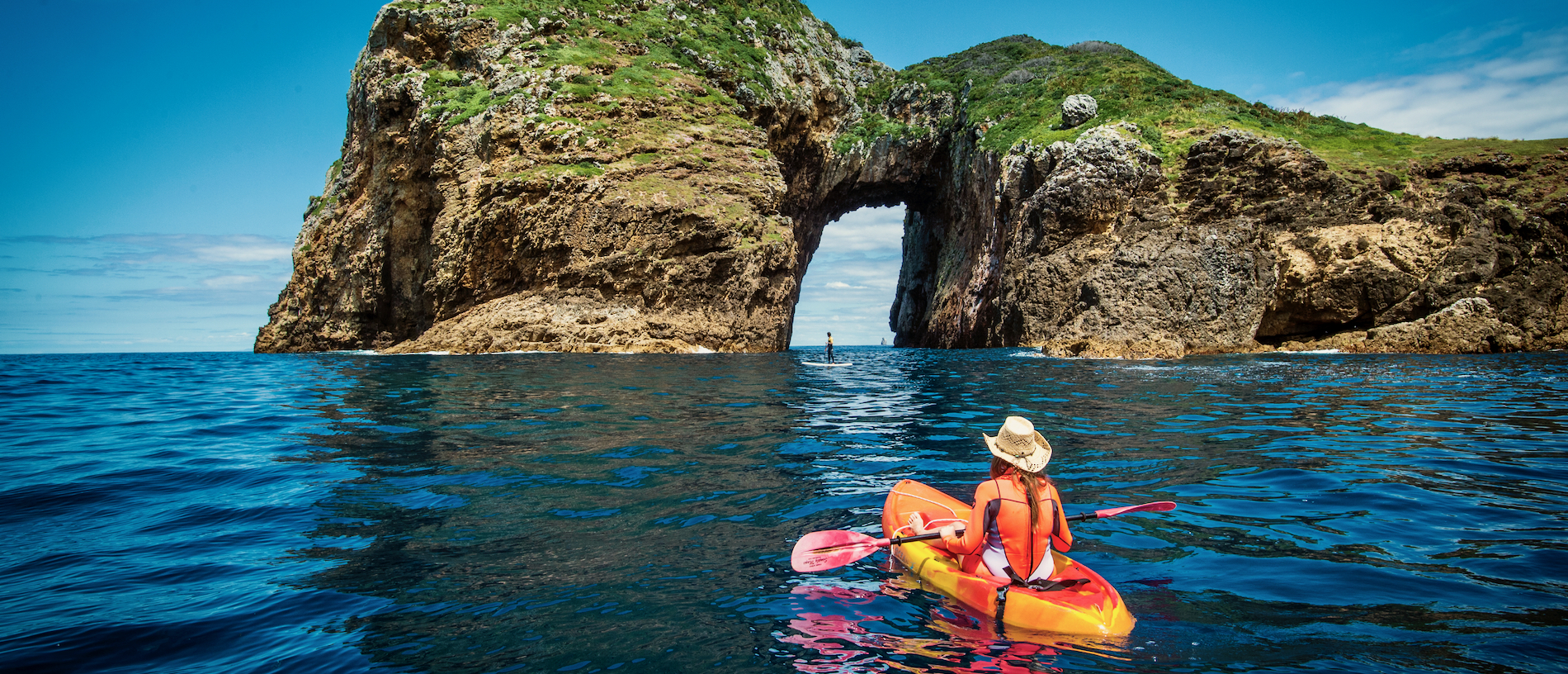 Tutukākā and the Poor Knights: national treasure