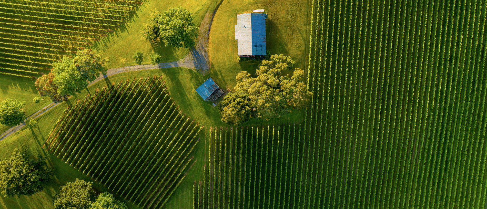 The secret coast: an indulgent road trip between Auckland and the Bay of Islands