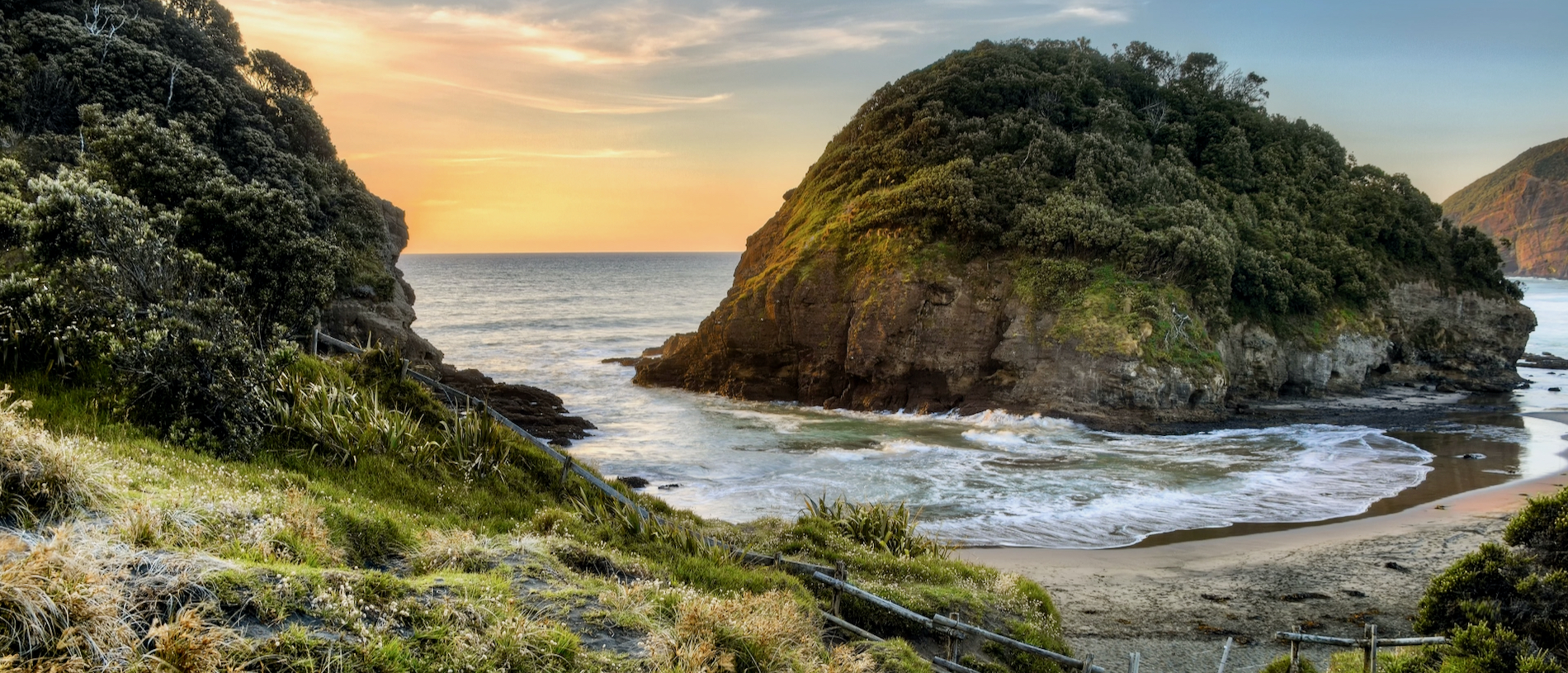 Way out west: a creative road trip between Auckland and the Kauri Coast