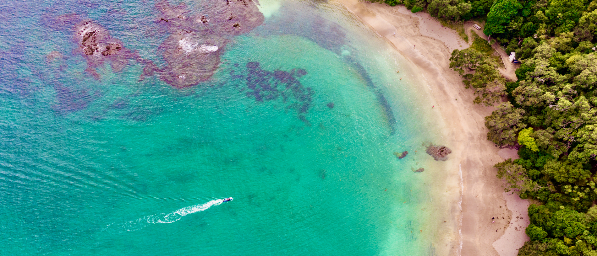 Road trip: an action-packed itinerary from Auckland to Whangārei