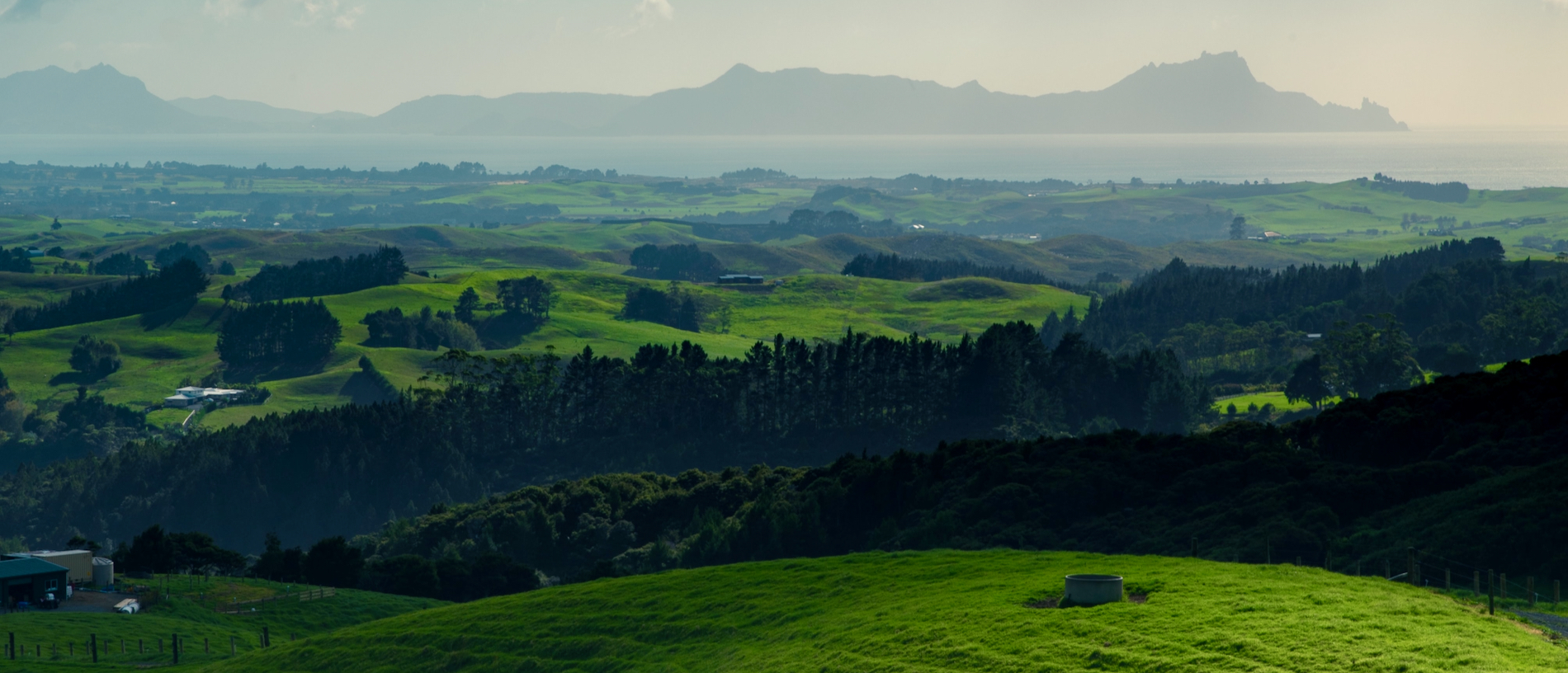 Whangārei: hills and harbours