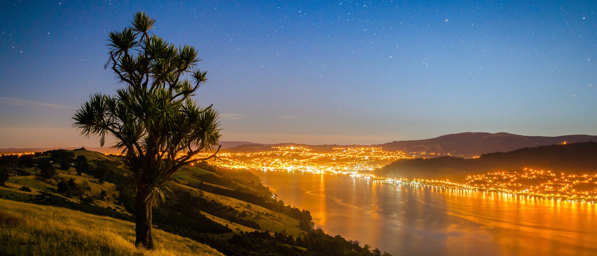 Otago Peninsula road trip: wildlife and wild history