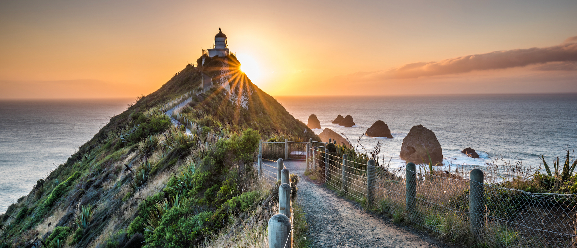 Nugget Point Tokatā walks
