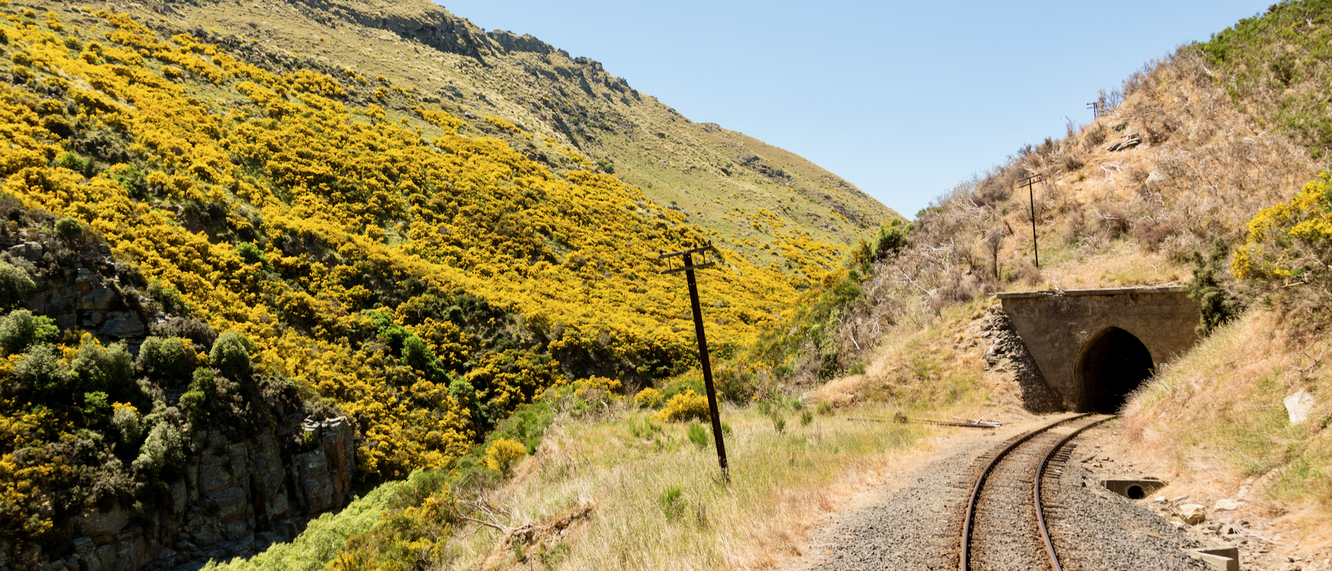 Otago Rail experience