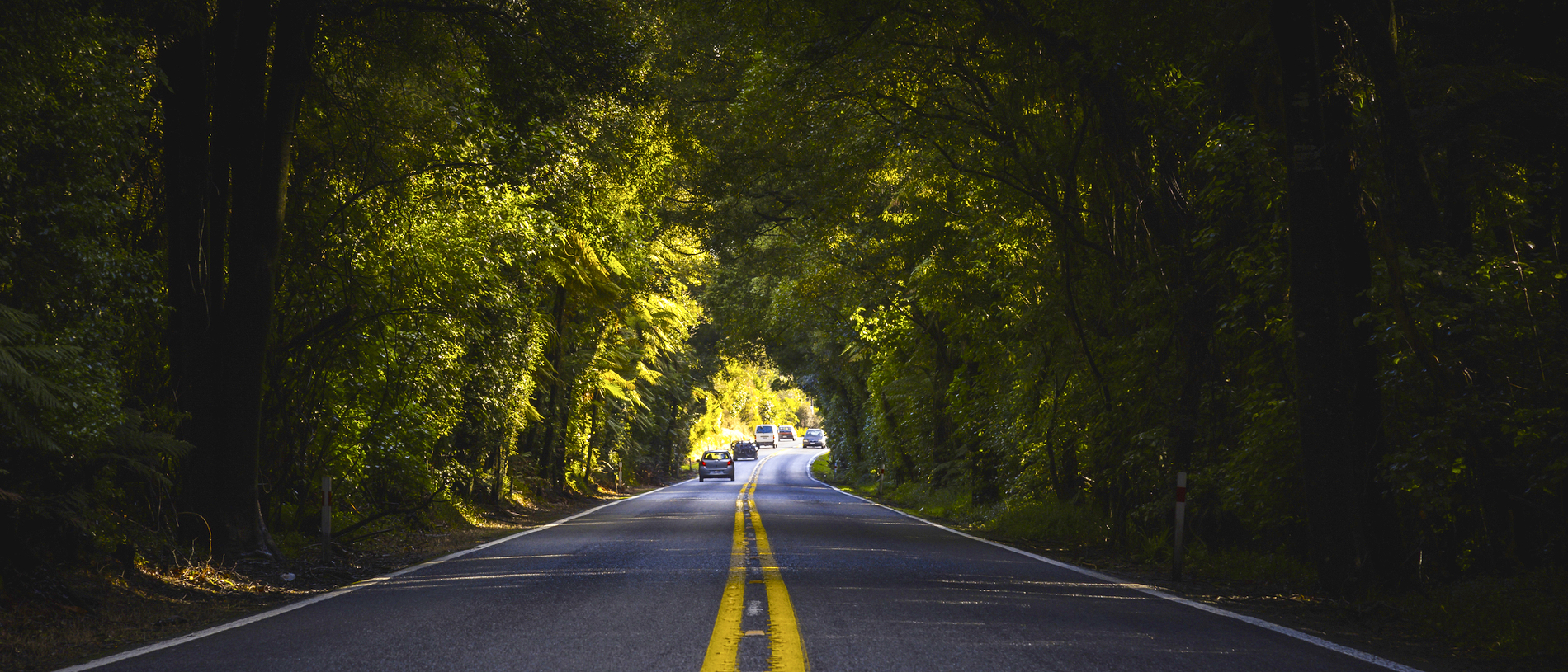 Thermal Explorer Highway: Auckland to Napier