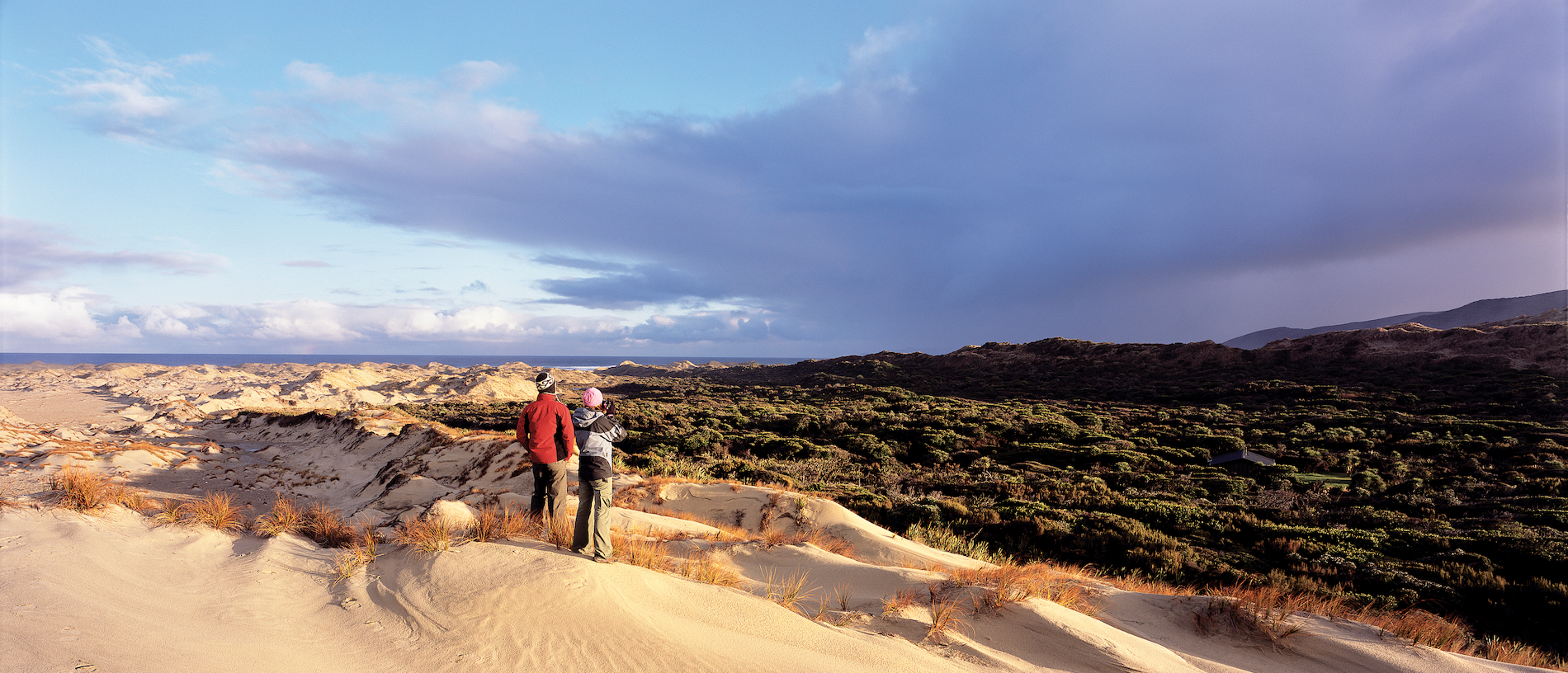 The Rakiura Track: beauty in isolation