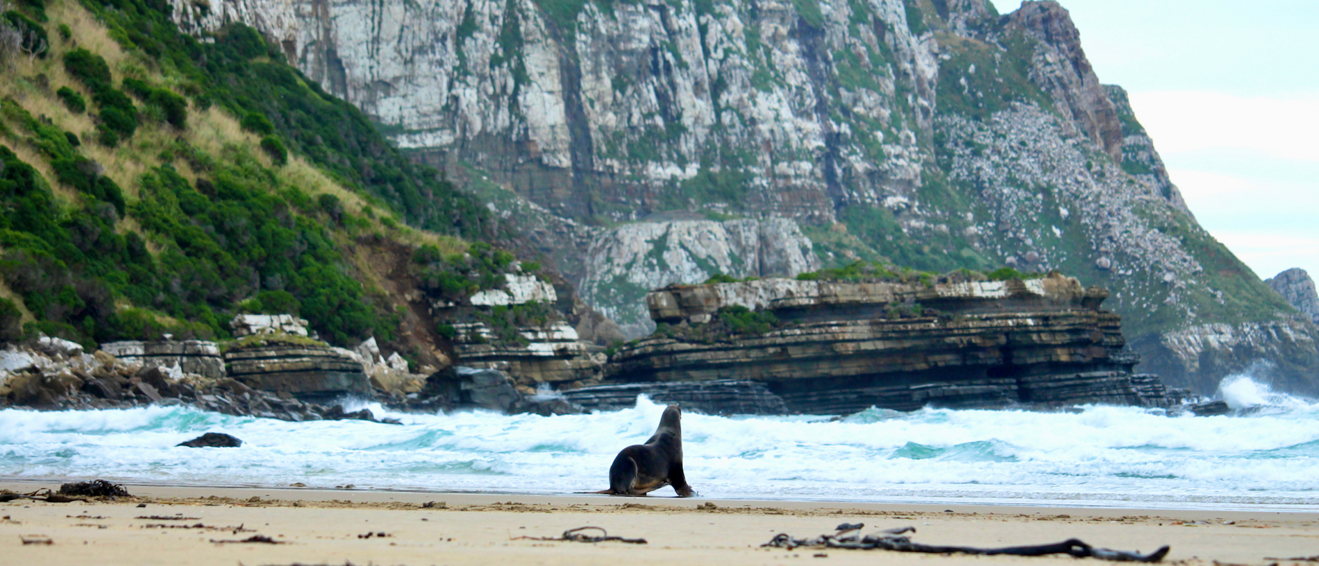 Loved by the locals: Clutha