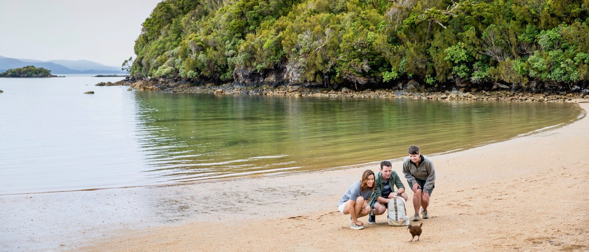 Ulva Island: birdwatchers’ paradise